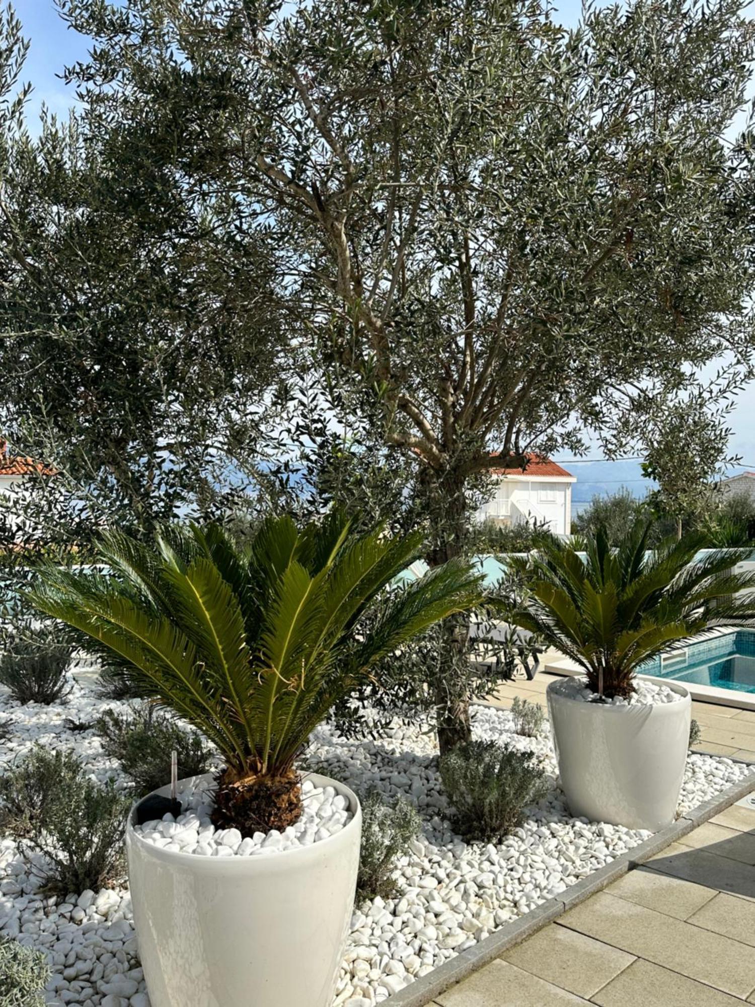 Apartments Marina Τρογκίρ Εξωτερικό φωτογραφία