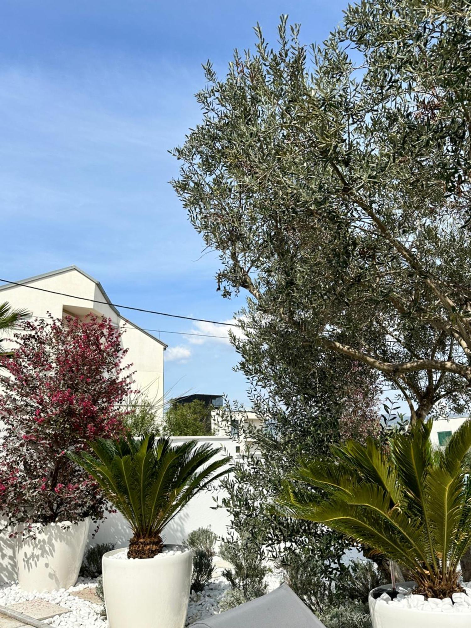 Apartments Marina Τρογκίρ Εξωτερικό φωτογραφία